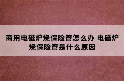 商用电磁炉烧保险管怎么办 电磁炉烧保险管是什么原因